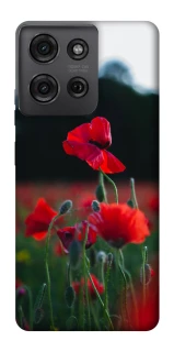 Чохол на Motorola Moto G75 Мак фото 1 з 1