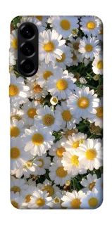 Чохол на Samsung Galaxy A56 5G Поле ромашок фото 1 з 1