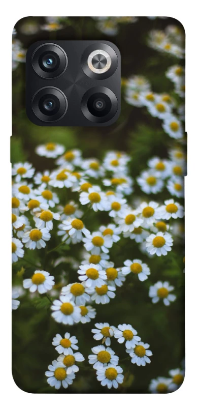 Чехол на OnePlus 10T Ромашки v13 фото 1 из 1