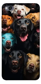 Чохол на Xiaomi Redmi 4a Собаки фото 1 з 1
