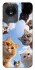 Чохол на Vivo Y02 Cats фото 1 з 1