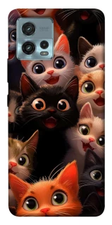 Чохол на Motorola Moto G72 happy cats фото 1 з 1