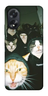 Чохол на Oppo A18 Сatsss фото 1 з 1