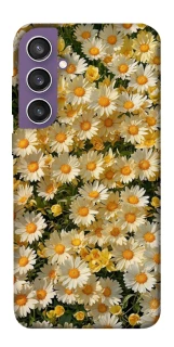 Чехол на Samsung Galaxy S23 FE Camomile фото 1 из 1