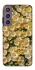 Чохол на Samsung Galaxy S23 FE Camomile фото 1 з 1