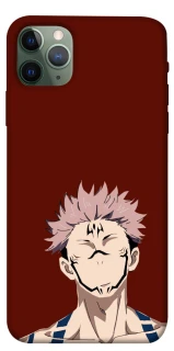 Чохол на Apple iPhone 11 Pro Max (6.5") Sakuna v3 фото 1 з 1