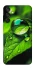 Чохол на Samsung Galaxy M15 5G Flowers v16 фото 1 з 1