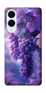 Чохол на Samsung Galaxy S25 Edge Bunch of grapes фото 1 з 1
