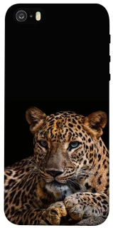 Чехол на Apple iPhone 5/5S/SE Leopard v4 фото 1 из 1