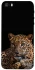 Чохол на Apple iPhone 5/5S/SE Leopard v4 фото 1 з 1