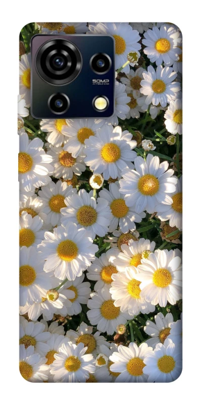 Чехол на ZTE Blade V50 Vita Поле ромашек фото 1 из 1