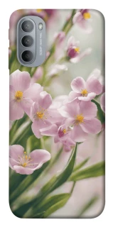 Чехол на Motorola Moto G31 Spring фото 1 из 1