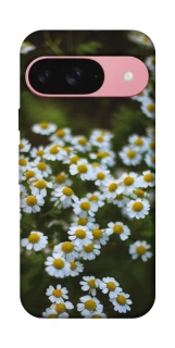 Чехол на Google Pixel 9 Ромашки v13 фото 1 из 1