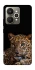 Чохол на Realme 15 Leopard v4 фото 1 з 1