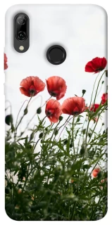 Чохол на Huawei P Smart (2019) Поле маків фото 1 з 1