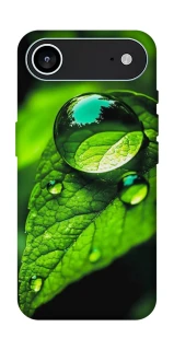 Чохол на Apple iPhone 17 Air (6.5") Flowers v16 фото 1 з 1