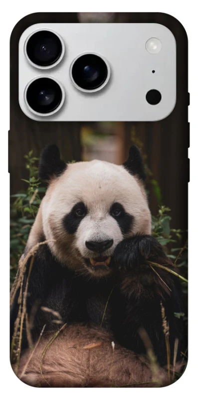 Чохол на Apple iPhone 17 Pro Max (6.9") Панда фото 1 з 1