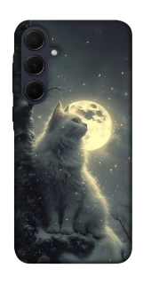 Чехол на Samsung Galaxy A35 Кот под луной фото 1 из 1