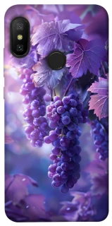 Чохол на Xiaomi Mi A2 Lite / Xiaomi Redmi 6 Pro Bunch of grapes фото 1 з 1