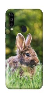 Чехол на ZTE Blade A7 (2020) Кролики фото 1 из 1