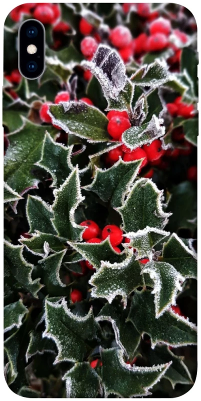 Чехол на Apple iPhone X (5.8") Новогодний v32 фото 1 из 1