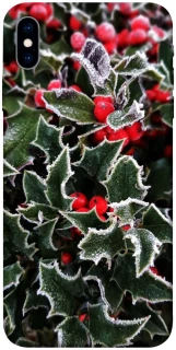Чехол на Apple iPhone X (5.8") Новогодний v32 фото 1 из 1