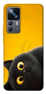 Чохол на Xiaomi 12T / 12T Pro This is Cat фото 1 з 1