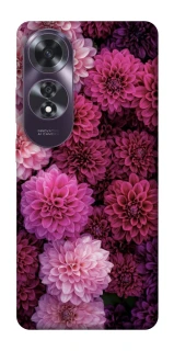 Чохол на Oppo A60 Garden1 фото 1 з 1