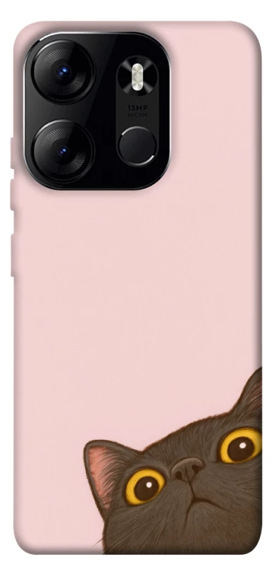 Чохол на Tecno Spark Go 2023 Peeping cat фото 1 з 1