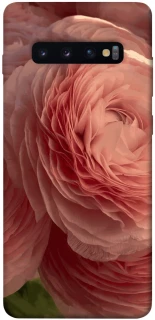 Чохол на Samsung Galaxy S10+ Elegance фото 1 з 1