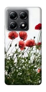 Чехол на Xiaomi 14T Поле маков фото 1 из 1