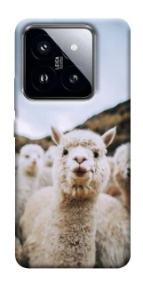 Чохол на Xiaomi 14 Pro Лама фото 1 з 1