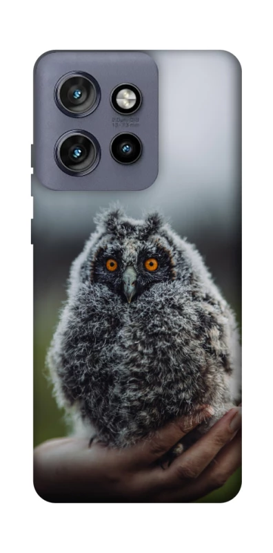 Чехол на Motorola Edge 50 Neo Совёнок фото 1 из 1