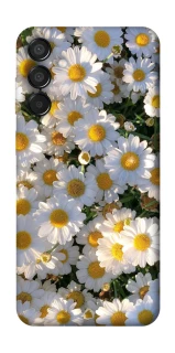 Чехол на Samsung Galaxy M15 5G Поле ромашек фото 1 из 1
