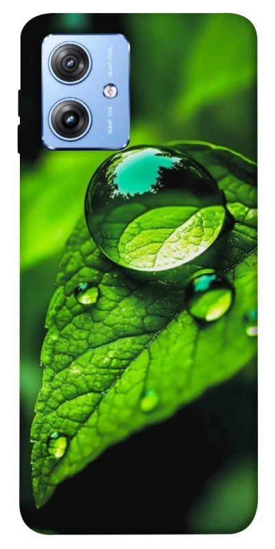 Чохол на Motorola Moto G84 Flowers v16 фото 1 з 1