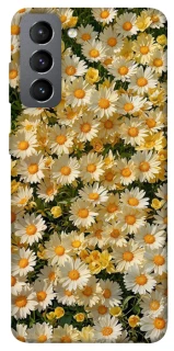 Чохол на Samsung Galaxy S21 FE Camomile фото 1 з 1
