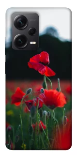 Чехол на Xiaomi Redmi Note 12 Pro+ 5G Мак фото 1 из 1