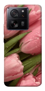 Чохол на Xiaomi 13T Beauty фото 1 з 1