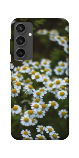 Чехол на Samsung Galaxy S24 FE Ромашки v13 фото 1 из 1