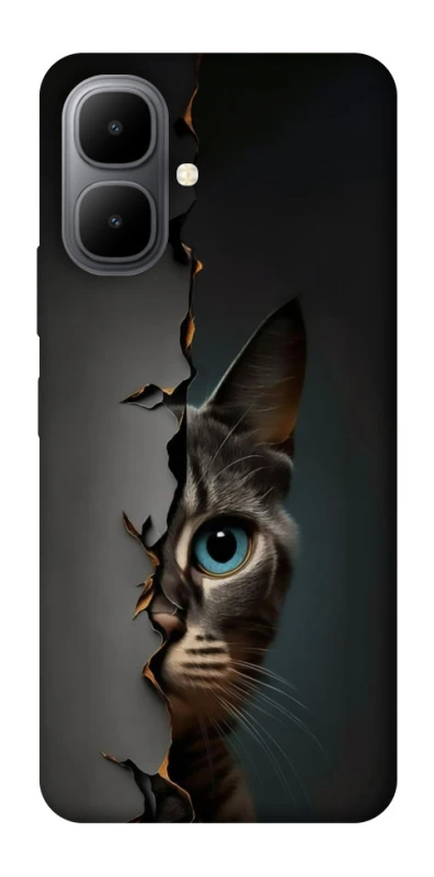 Чехол на Infinix Smart 10 Кот-подглядыватель v2 фото 1 из 1