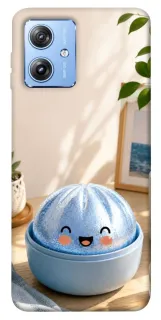 Чехол на Motorola Moto G84 Dumpling ver.2 фото 1 из 1