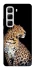 Чехол на Infinix Hot 50 4G Leopard v2 фото 1 из 1