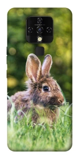Чохол на TECNO Camon 16 SE Кролики фото 1 з 1