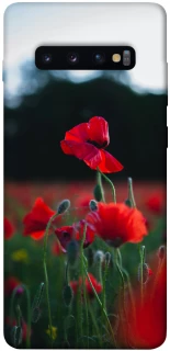 Чехол на Samsung Galaxy S10+ Мак фото 1 из 1