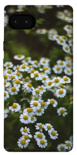 Чехол на Google Pixel 7a Ромашки v13 фото 1 из 1