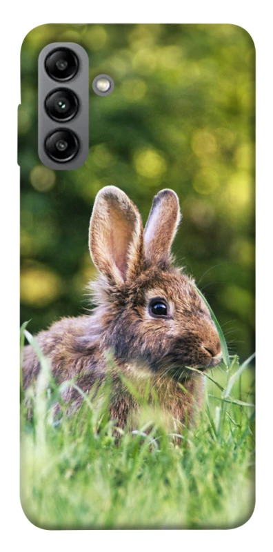 Чохол на Samsung Galaxy A04s Кролики фото 1 з 1