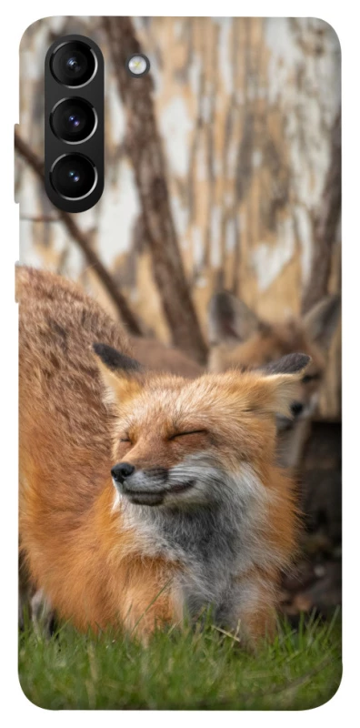 Чехол на Samsung Galaxy S21+ Лиса фото 1 из 1