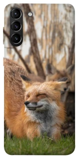 Чехол на Samsung Galaxy S21+ Лиса фото 1 из 1