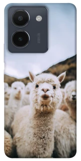 Чохол на Vivo Y36 Лама фото 1 з 1