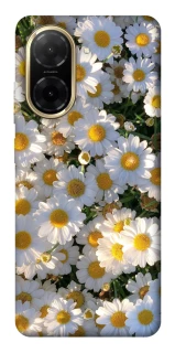 Чехол на Xiaomi Redmi A5 (Europe version) Поле ромашек фото 1 из 1